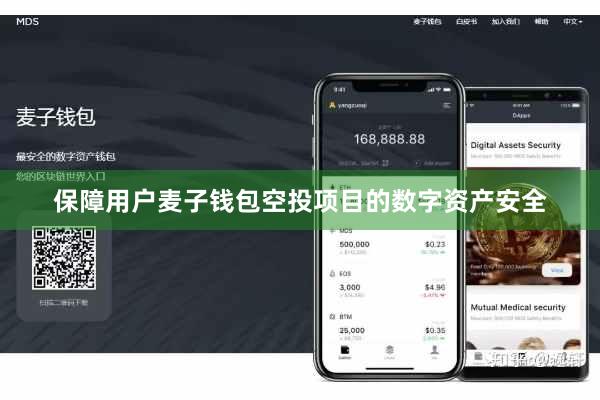 保障用户麦子钱包空投项目的数字资产安全